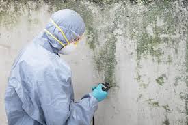 Mold Documentation for Insurance Claims in Maple Park, IL